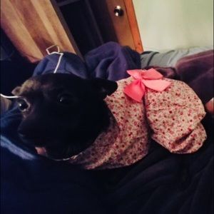 Meet your Posher, Sandra